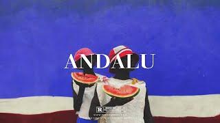 "Andalu" - Rema x Wizkid Type Beat