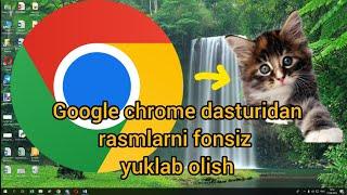 Google chrome dasturidan rasmlarni fonsiz yuklab olish.