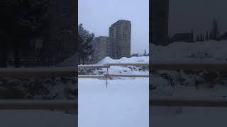 В Тбилиси сегодня пошел сильный снег #shorts #снег #погода