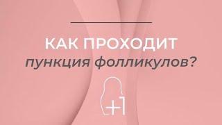 Как проходит/проводится пункция фолликулов в Клинике репродуктивной медицины +1 #эковмоскве #рек