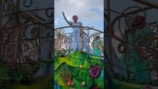 Disneyland Paris Parade of the Princesses| Belle| Meredith| Cinderella| Ariel and More| Memories