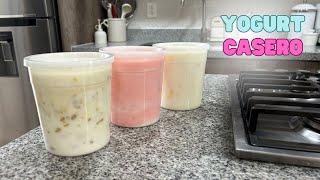 YOGURT CASERO PARA NEGOCIO | MANZANA, FRESA Y CEREALES