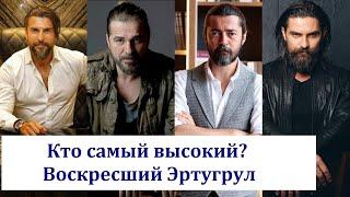 Реальный рост актеров "Воскреший Эртугрул" (Diriliş: Ertuğrul)