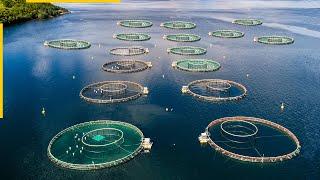 The future of aquaculture. New fish farming technologies