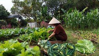 How I preserve a variety of vegetables without losing their freshness and cooking flavor