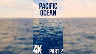 Relaxing Waves for Deep Sleep - Vertical Screen Video - 4K Echoes of the Pacific Ocean - Episode 2