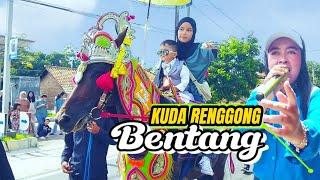 Kuda Renggong bentang - di legok paseh