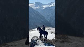 #music #карачаевскаялошадь #horse #лошадки #кчр #лошади #природа #горы #кавказ
