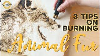 3 TIPS for Wood Burning Animal Fur | Pyrography Shading Skills