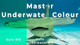 Overhaul your Underwater Footage 1 Easy Step - White Balance How To