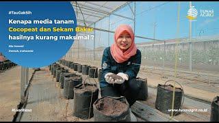 Kenapa COCOPEAT DAN SEKAM BAKAR hasilnya KURANG MAKSIMAL ??? by Tunas Agro