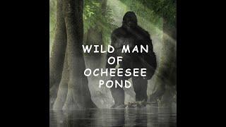 Ocheesee Pond Wild Man: A 19th Century Bigfoot capture in Florida?