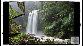 Música Relajante de Lluvia Instrumental Para Relajarse y Dormir Profundamente – Música de Naturaleza