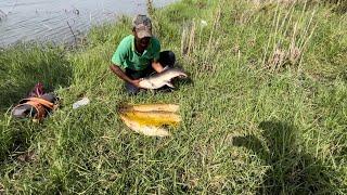 Hook fishing in river | catch big fishes with single hook |awesome fish hunting |river fishing