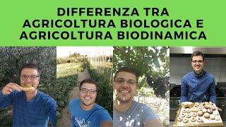 Differenza tra agricoltura biologica  e agricoltura biodinamica: