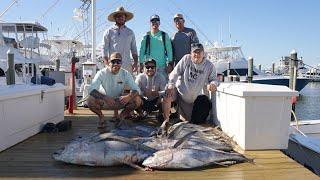 Slaying YELLOWFIN TUNA with FISH TRICKS!!!