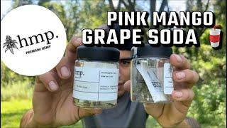 HMP.STORE PINK MANGO + GRAPE SODA - BEST THCA FLOWER? MINI RIVIEW!