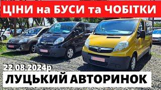 ПОПУЛЯРНІ БУСИ ТА ЧОБІТКИ / ЛУЦЬКИЙ АВТОРИНОК / 22.08.2024р #автобазар  #автопідбір #автопідбірлуцьк