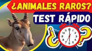 ANIMALES EXÓTICOS  ️  Test de Animales  