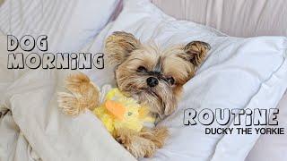 REALISTIC DOG MORNING ROUTINE, WALK & FOOD, ETC