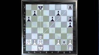 ChessMaster GME: Waitzkin J. Vs Serper G.