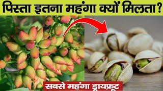 Pista इतना महंगा क्यों होता है? How Pistachio Nuts Are  Processed | why are pistachios so expensive