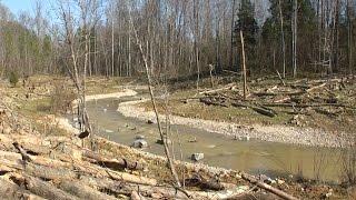 New Kentucky Trout Stream