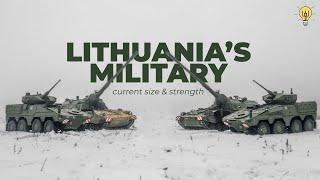 Koks yra Lietuvos karinis dydis ir galia 2024 m.?