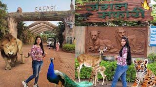 JUNGLE SAFARINEW RAIPUR #junglesafari #vlog #raipur #chhattisgarh #jyotisoni