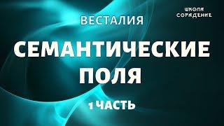 Семантические поля. Часть 1 #матчасть #семантическиеполя #Весталия #школаСорадение