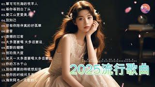 2025 流行歌曲【無廣告】2025中国大陸流行歌曲️Top Chinese Songs 2025 等你等到白了头 / 可可托海的牧羊人 / 酒醉的蝴蝶 / 你的万水千山 / 遗憾的过客