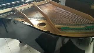 Diapason Japan Pianoforte mezza coda 178cm