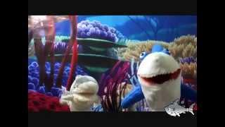 Sharkie & Silver Show #3 - World's Smallest Shark!