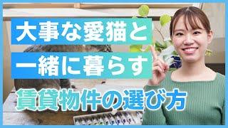 大事な猫と暮らすための賃貸物件選び！「ペット可」だけではNGな理由とは【初心者必見！賃貸暮らしガイド】