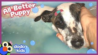 What’s Making This Puppy Sick? | All Better | Dodo Kids