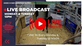 Okeechobee Livestock Market Live Stream