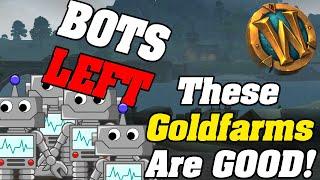 THE BOTS LEFT! These Goldfarms Are GOOD Again! WoW goldfarm