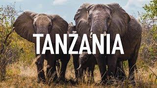 Un mes de viaje en TANZANIA - Ruta y consejos de viaje: Qué ver en un mes en Tanzania