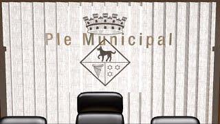 Ple Ordinari 3-4-2025 (Part 1)