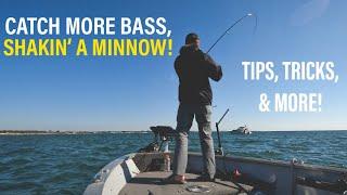 How-To: Mid-Strolling/Jighead Minnow For Smallmouth Bass!