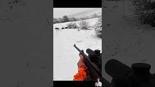 охота на кабана в снегу  #hunting #chasse #wildboar #охота