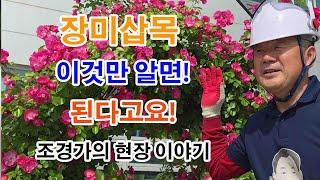 #장미삽목 #노하우 #귀농귀촌 #귀농 #귀촌생활 #귀촌 #조경과구들장 #나무심기
