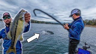 Catching MAGNUM Spotted Bass On Smith Lake With Jesse Wiggins!