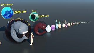 Monster Egg size comparison