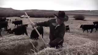 I Am Angus: Berger Ranch, Saratoga, Wyo.