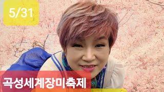 조하리tv 곡성세계장미축제5/31