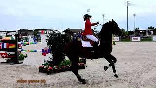 Horse show jumping falls compilation