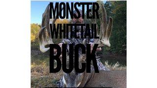 Illinois giant whitetail  deer hunting Whitetails monster bucks