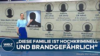 KRIMINALITÄT: Blick in die Strafakte! Elfköpfige Familie begeht insgesamt 110 Straftaten