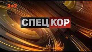 Спецкор - 18:15 від 17 квітня 2020 року